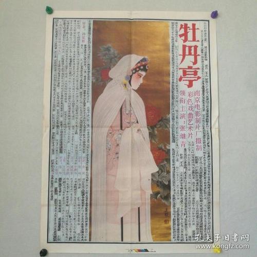神戸国際大学社会学文凭证书